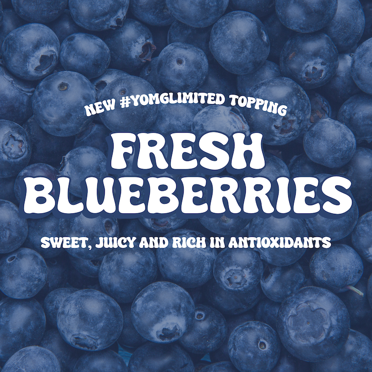 Fresh Blueberries — Now Available in YOMG Toppings Bar