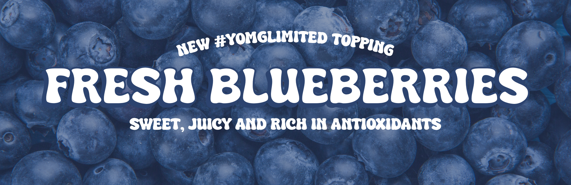 Fresh Blueberries — Now Available in YOMG Toppings Bar